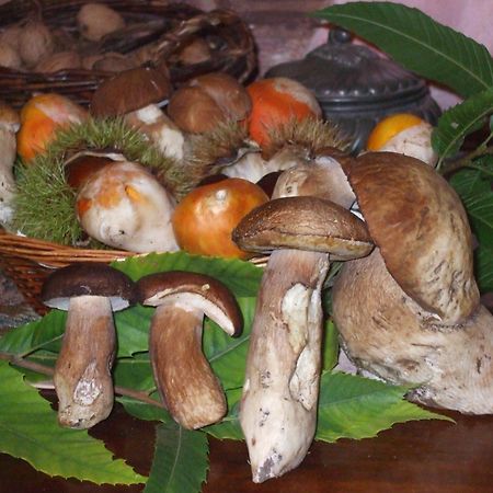 Agriturismo Nonno Tobia Agerola Eksteriør billede