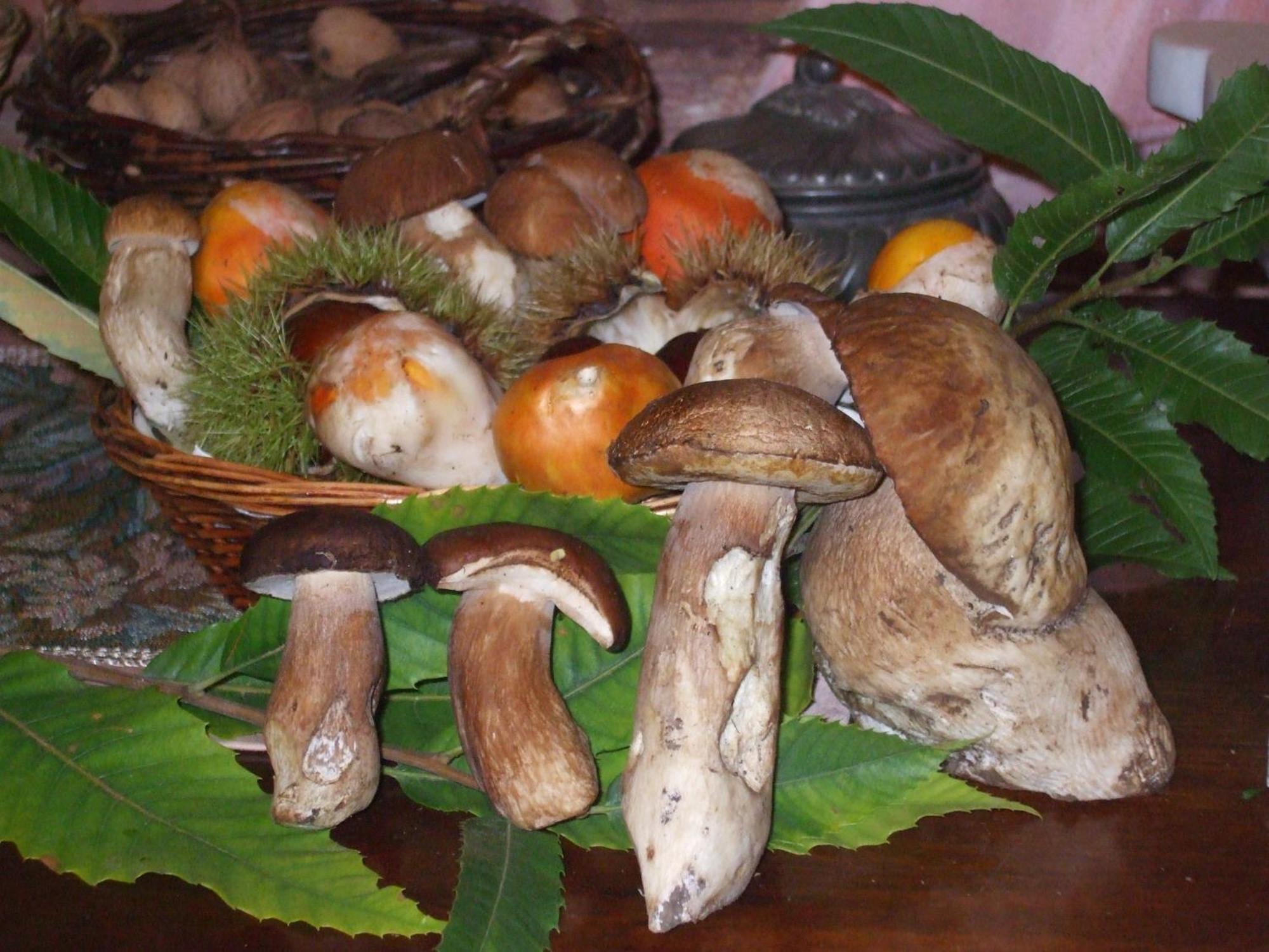 Agriturismo Nonno Tobia Agerola Eksteriør billede