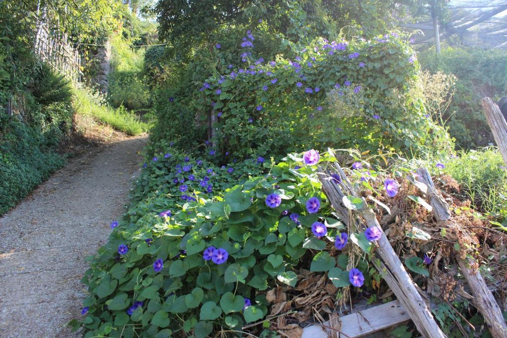 Agriturismo Nonno Tobia Agerola Eksteriør billede